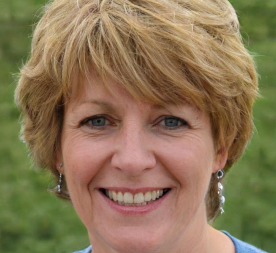 Professional business mentor reviewing financial strategies